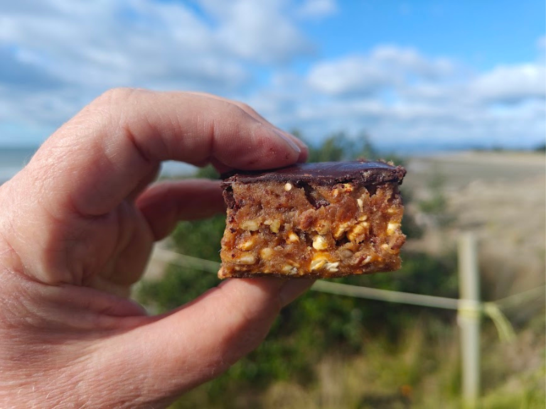 Raw Caramel Slice