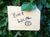 Sharing the shop local love